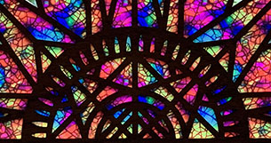 Sun Window Sitter/Sun Catcher