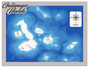 Custom Map